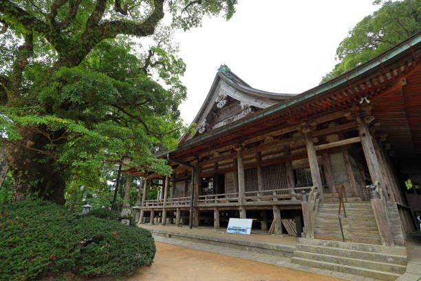 나치산의 나치산 세이간토지(seigantoji-ji temple) - higashimuro 뉴스 사진 이미지