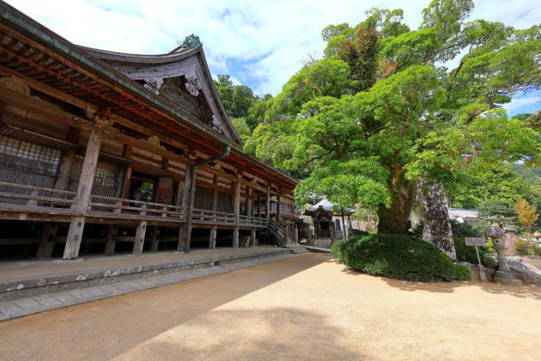 nachisan seiganto-ji temple (seigantojihondo) at nachisan, - higashimuro 뉴스 사진 이미지