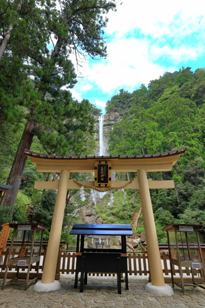 cachoeira nachi (a cachoeira individual mais alta) em nachisan - higashimuro - fotografias e filmes do acervo