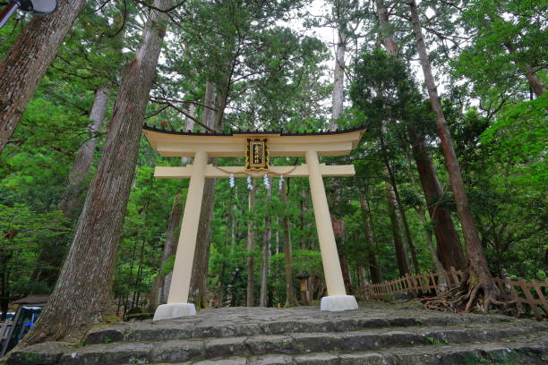 나치산(nachisan)에 있는 나치 폭포(nachi waterfall)의 성문(개별 폭포 중 가장 높은 폭포) - higashimuro 뉴스 사진 이미지