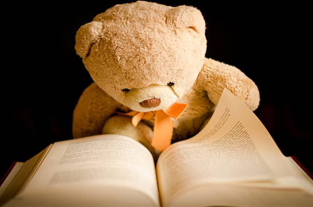 Teddy Bear Reading in a Book stock photo