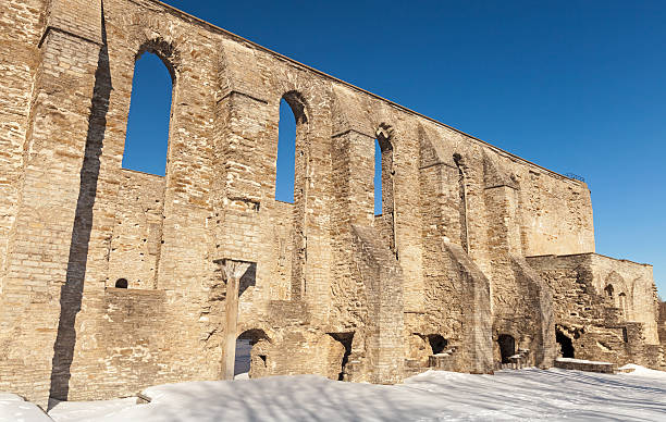 alten zerstörten st. brigitta konvent. pirita region, tallinn, estland - estonia tallinn old ruin ruined stock-fotos und bilder