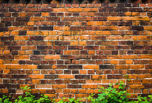 Brick Wall with Hedge stock photo