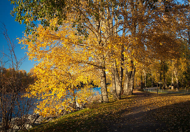 Herbst im Park – Foto