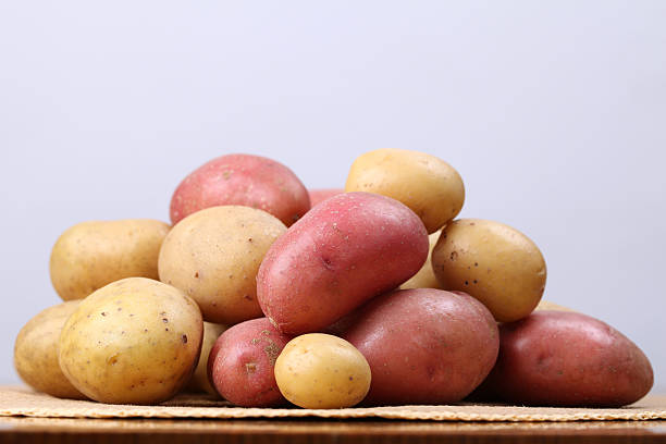 레드 및 화이트 감자 - raw potato red potato red nutrient 뉴스 사진 이미지