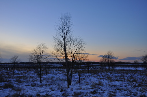 Twilight sunset on a winter evening in Berrien Springs, Michigan. Snow is covering the barren field during this blue hour.