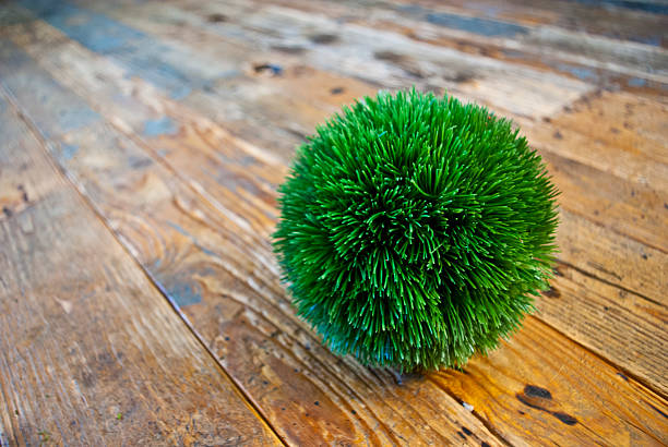 istock Sphere of grass on wooden floor 180897750