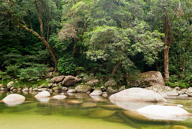 Mossman Gorge, Daintree National Park, Australia Mossman Gorge, Daintree National Park, Australia mossman gorge stock pictures, royalty-free photos & images