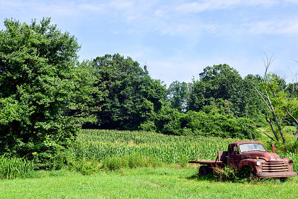 istock Old truck in a field 180900675