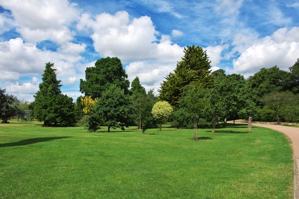 istock The park on Cardiff city, Wales, UK 1809016881