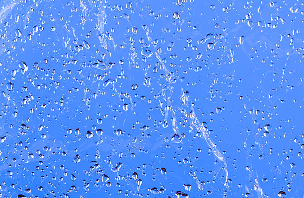 wet film