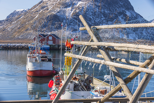 fishing boats in a harbour on the Lofoten islands in Norway