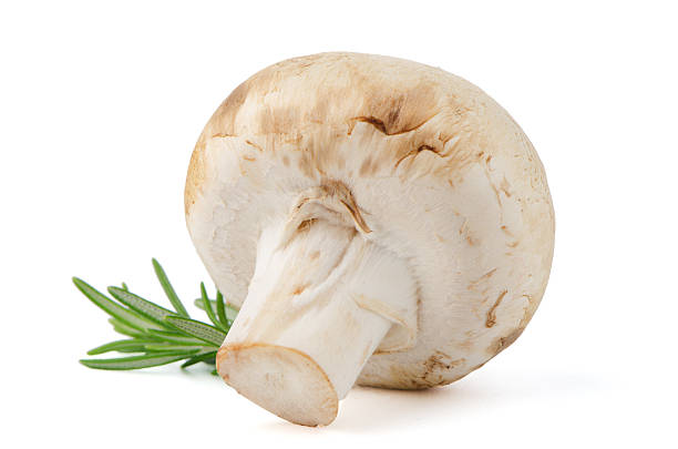 istock Champignon mushroom and parsley leaves 180906521