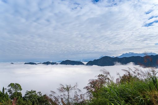 The mountain peaks are covered by white clouds, with only the tops showing. Sun-Link-Sea Forest and Nature Resort in Nantou County, Taiwan.
