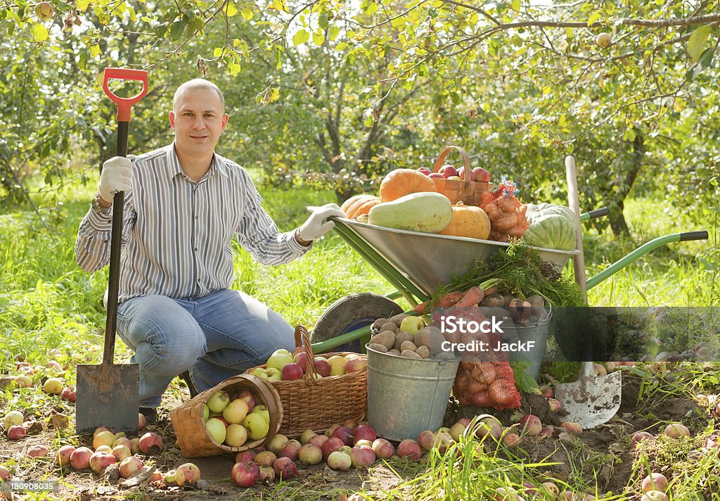 Uomo con verdure harvest - Foto stock royalty-free di Agricoltore