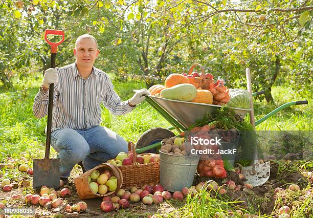 Uomo Con Verdure Harvest - Fotografie stock e altre immagini di Agricoltore - Agricoltore, Agricoltura, 30-34 anni