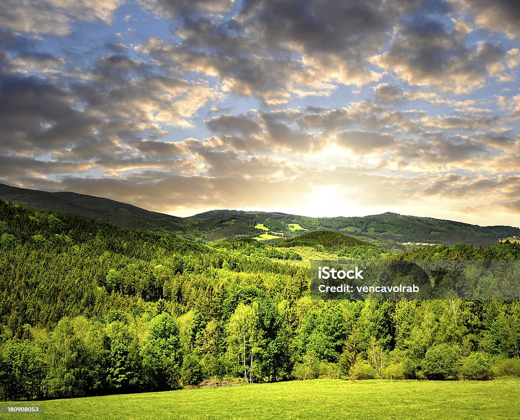 Parque nacional Sumava - Foto de stock de Aire libre libre de derechos