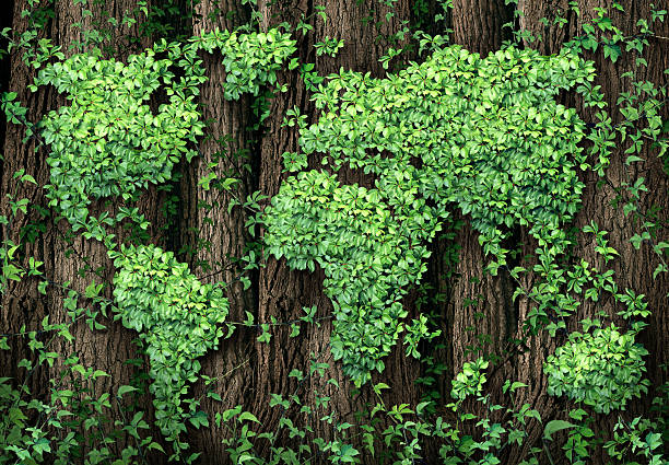 sviluppo globale - green economy foto e immagini stock