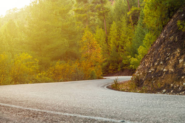 istock Asphalt road through autumn forest at sunrise 1809099358