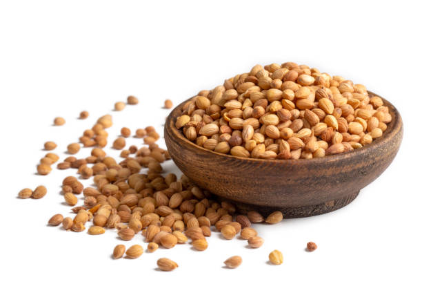 istock Mahlep, Mahlab or Mahaleb seeds isolated on white background 1809122077