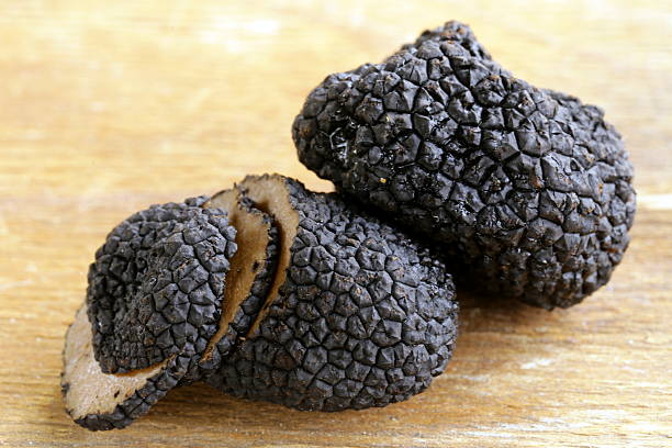 delicacy mushroom black truffle - truffle tuber melanosporum mushroom 個照片及圖片檔