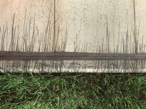 Concrete short wall with grass growing at its base, casting long, slender shadows. The gray wall, textured and marked with cracks and stains, contrasts with the green of the freshly cut grass.
