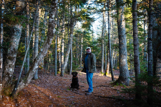 A mature man in the autumn on a woodland trail with his Labrador retriever dog.
