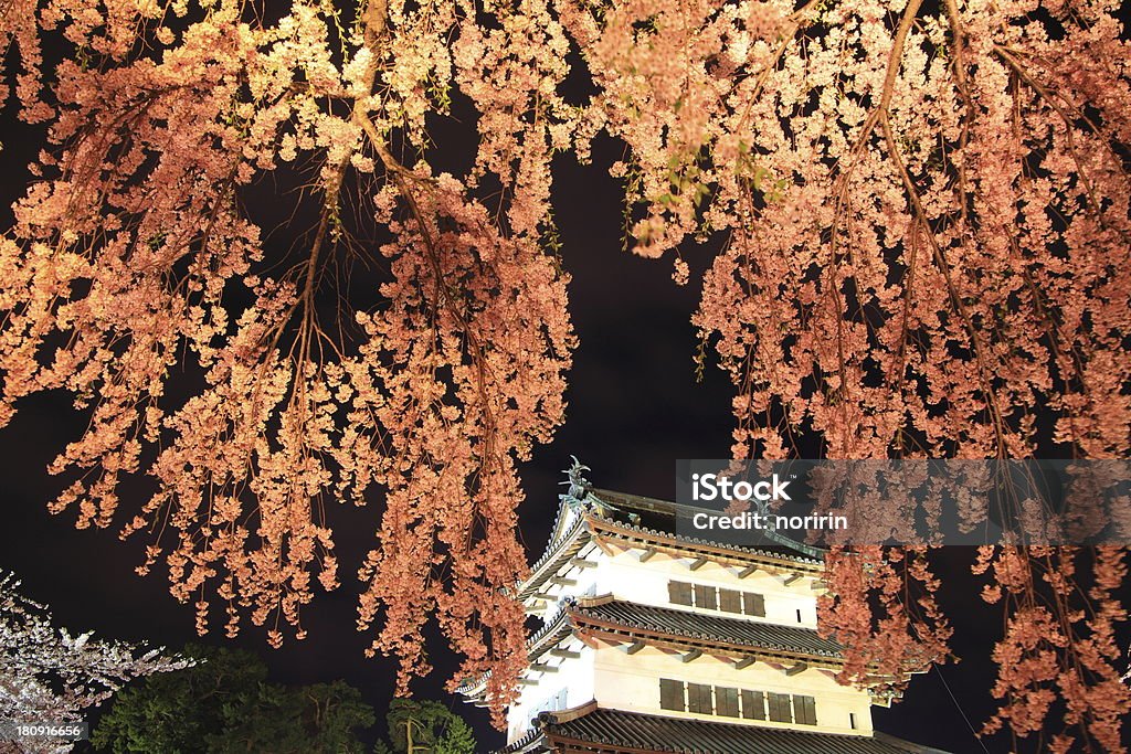 Rozbłyśnij z Hirosaki castle i Kwiatów Wiśni - Zbiór zdjęć royalty-free (Hirosaki Castle)