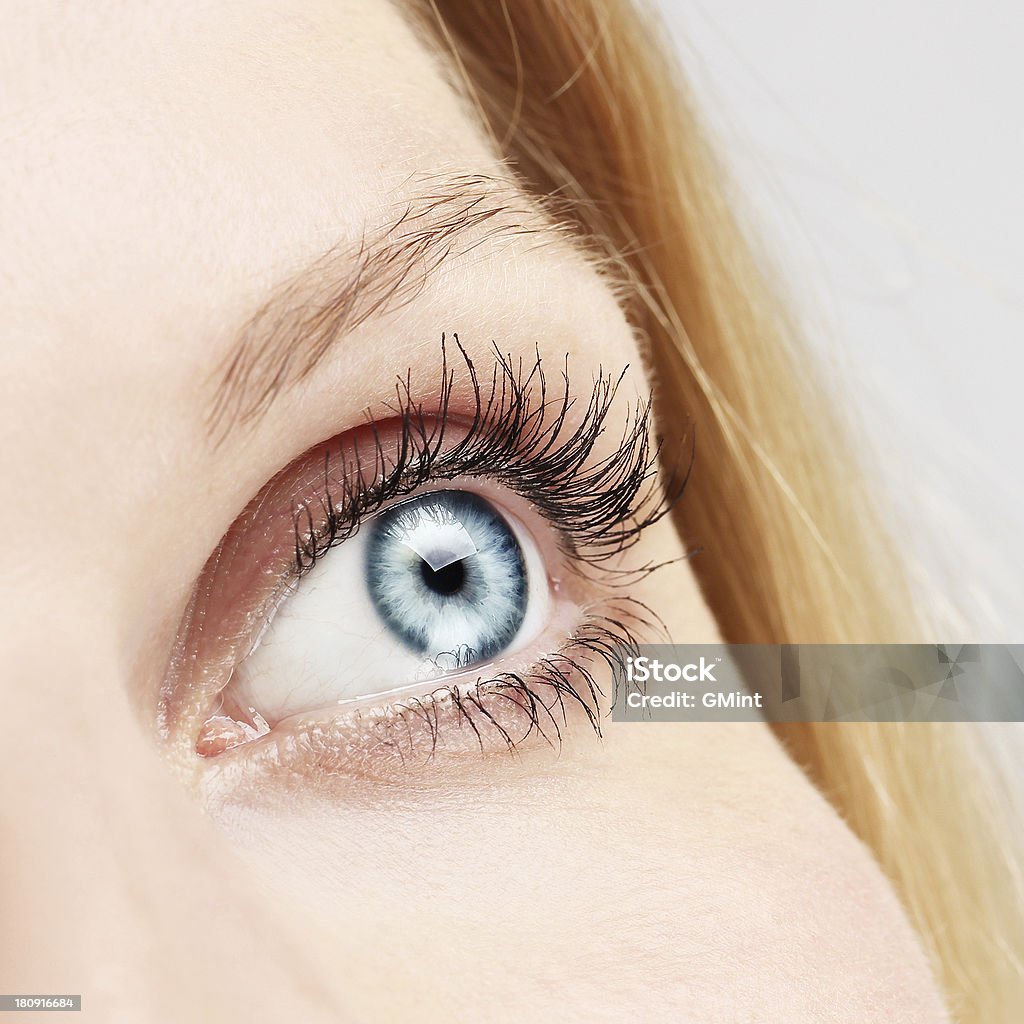 Blue Eye Beautiful Eye Adult Stock Photo