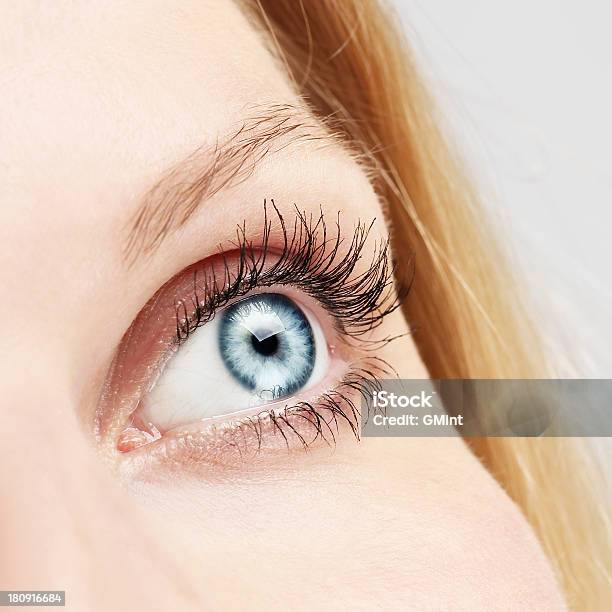 Blue Eye Stock Photo - Download Image Now - Adult, Beautiful People, Beauty
