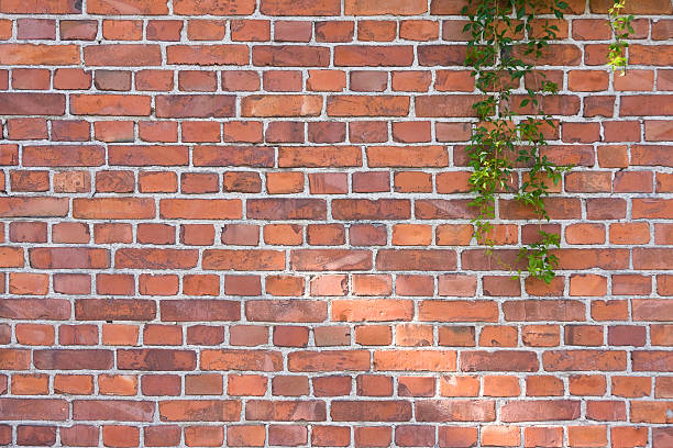 istock Red brick wall with green ivy 180916702