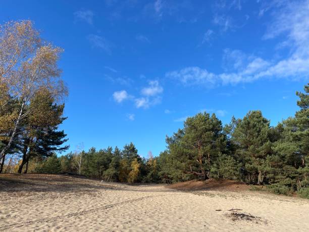 istock desert in Legionowo 1809171790