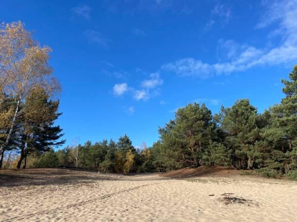istock desert in Legionowo 1809172835