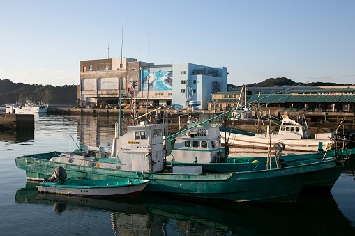 Nachikatsuura, Japan; 1st October 2023: Japanese fishing boats at Katsuura Harbor in Wakayama.