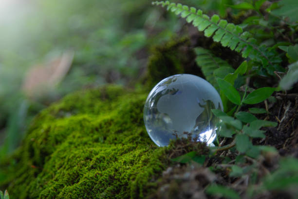 istock Glass globe encircled by verdant forest flora, symbolizing nature, Environmental protection, sustainability, ESG green energy sustainable. World environment day concept, climate change awareness goals 1809206838