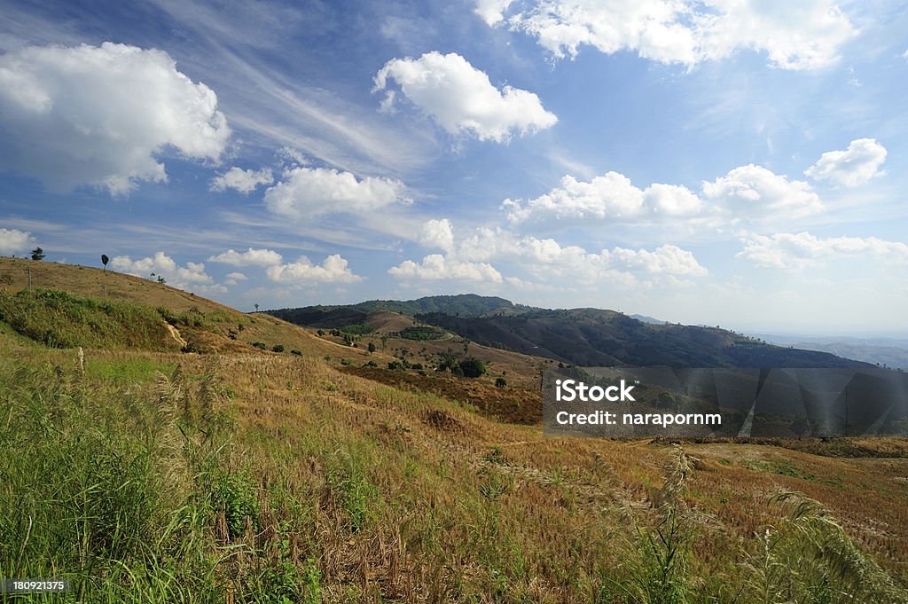 Vue sur les montagnes - Photo de Appalaches libre de droits