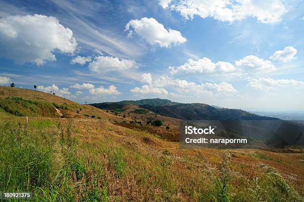 Photo libre de droit de Vue Sur Les Montagnes banque d'images et plus d'images libres de droit de Appalaches - Appalaches, Capitule, Champ