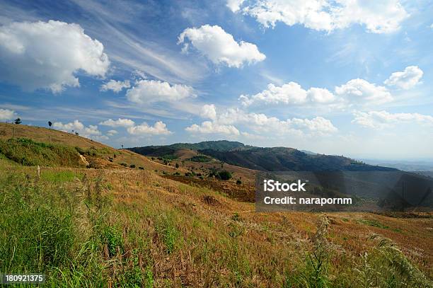 Vista Sobre As Montanhas - Fotografias de stock e mais imagens de Ao Ar Livre - Ao Ar Livre, Appalachia, Cabeça de Flor