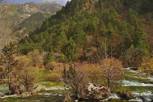 China, autumn in Jiuzhaigou Park stock photo