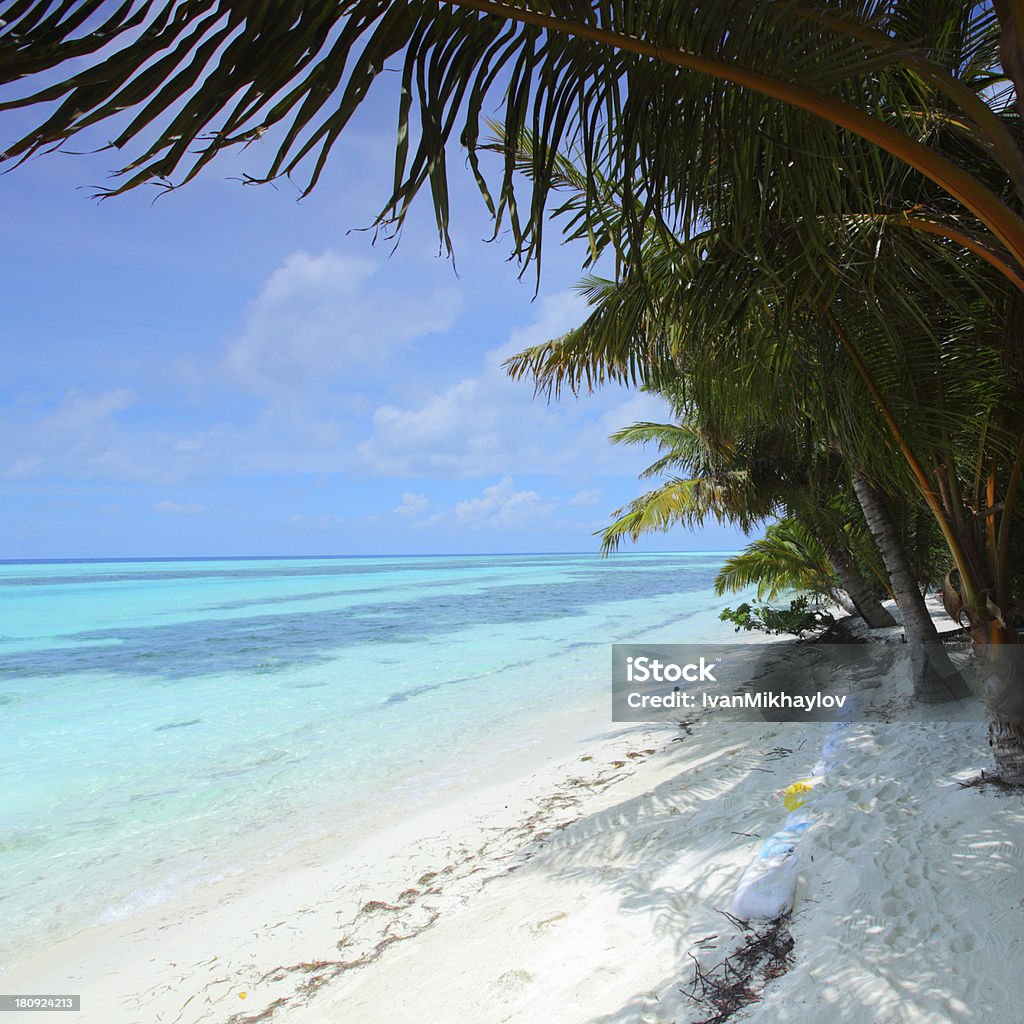 tropical island tropical island palm sea and sky Bay of Water Stock Photo