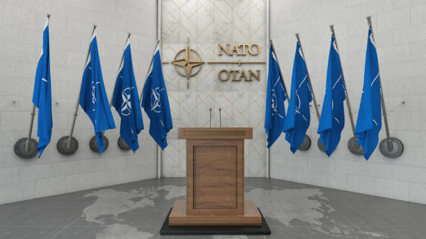 NATO OTAN Concept with NATO Flag in a Row with a Empty Wooden Wall. Press Conference in Government Building NATO OTAN Concept with NATO Flag in a Row with a Empty Wooden Wall. Press Conference in Government Building. 3D Render nato stock pictures, royalty-free photos & images