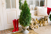 Tuya instead of a Christmas tree in a vase stands near the entrance door to the house or on the veranda. Red rubber boots. A bench with wood under it