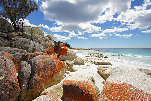 istock Bay of Fires, Tasmania, Australia 180926956