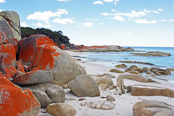 istock Bay of Fires, Tasmania, Australia 180926998