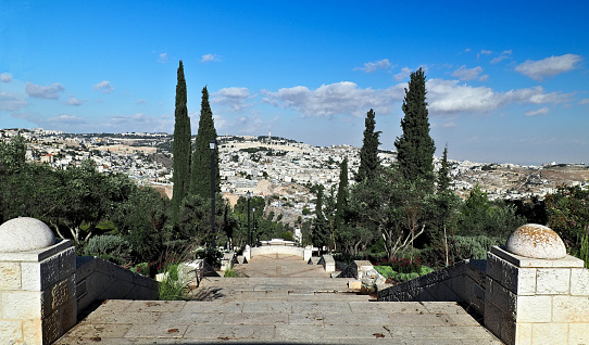 This promenade overlooks the Old City of Jerusalem, parts of western Jerusalem and a great sweep of the Judean Desert. Its 1,350 meter long walk is used by both Jews and Arabs as well as tourists and pilgrims to Jerusalem. Its quiet gardens, planted with agricultural species such as wheat and olives, and its many viewing pergolas, create an atmosphere of peace and beauty in which to enjoy this unique and world-famous site. The garden contrasts sharply with the desert which begins immediately at its feet, and provides an elegant transition from the city to the classic views of Jerusalem.