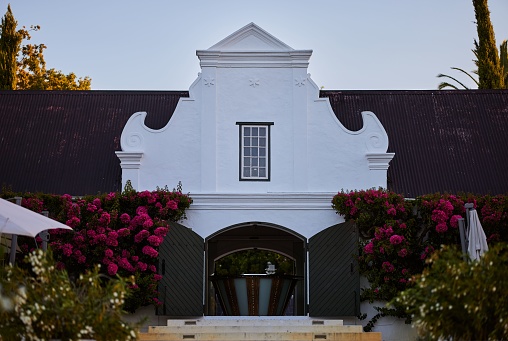 Stellenbosch, South Africa – January 17, 2022: The Peter Falke Estate vineyard located in the picturesque Stellenbosch region of South Africa