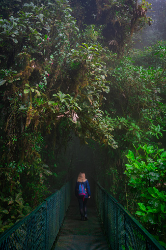 Young girl walking across bridge in lush tropical forest with tall trees in Costa Rica.