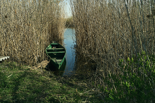 A wooden fishing boat is moored to the river bank, densely overgrown with reeds, a simple rural landscape