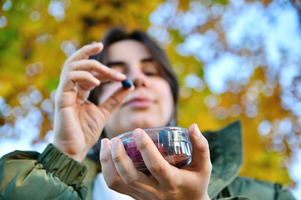 Girl eat berries from a plastic box outdoor