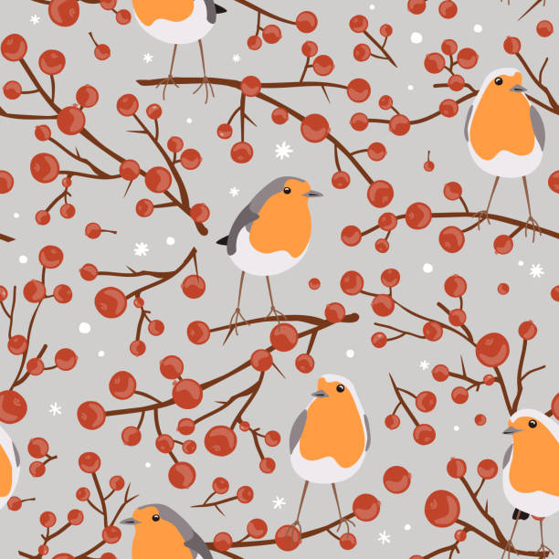 Red Robin Pattern 17,900+ Red Robin Birds Stock Photos, Pictures & Royalty-Free Images ...